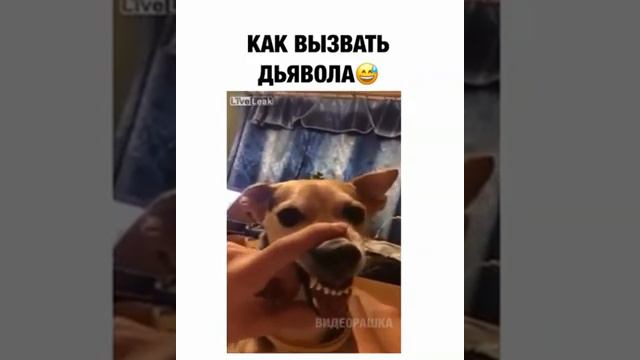 Как вызвать дьявола