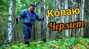 По следам лесорубов - копаю металл ищу стоянку техники!