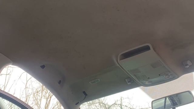 Чем убрать плесень в салоне автомобиля смотреть онлайн