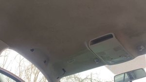 Чем убрать плесень в салоне автомобиля