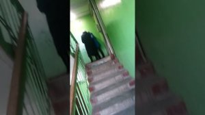 Страсти в подъезде
