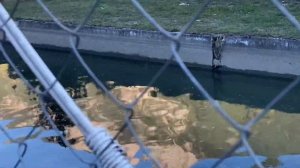 13.10.23/4. #ТЕБЕРДА. БАЗА ОТДЫХА «ФОРЕЛЬНОЕ» 🖼️ #отпуск #обед #отдых #вкусно #форель #обзор