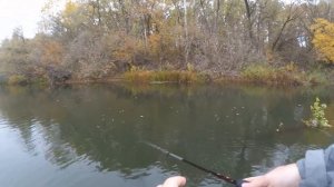 ZipBaits Orbit 110sp или лучшая рыбалка на щуку 2017.