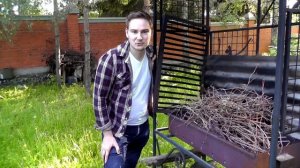 КРЫЛЬЯ как в ПАПА ДЖОНС. ОБЗОР И РЕЦЕПТ. Домашние крылья лучше?