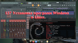 157 Установка программ Windows в Linux.