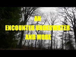 “An Encounter Underwater and More” | Paranormal Stories