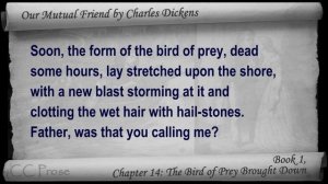 Book 1, Chapter 14 - Our Mutual Friend by Charles Dickens - The Bird of Prey Brought Down