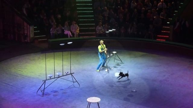 Беларусь/Минский цирк/Клоун из Румынии смотреть онлайн