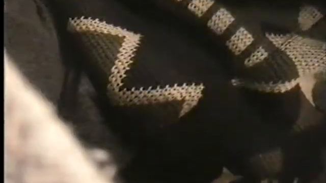 День Рождения Оли Чигвинцевой 15 02 1997 смотреть онлайн