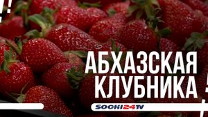 Сколько стоит клубника в Сочи?