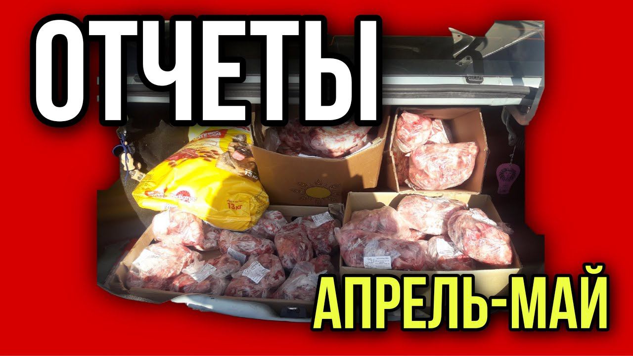 Отчеты по тратам на бездомышей | Апрель-май