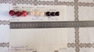 Три редких сорта войлочной вишни