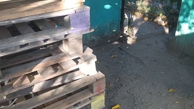 Замариновали шашлык! Ужин сурка ! смотреть онлайн