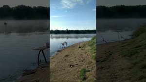 Ниверга 2021 г.