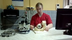 Глаукома у собак. Первичная узко-закрытоугольная глаукома у собак.