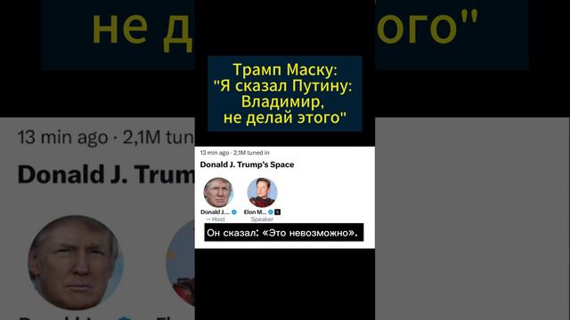 Трамп Маску: "Я сказал Путину: Владимир, не делай этого"