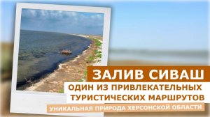 Уникальная природа Херсонской области: залив Сиваш