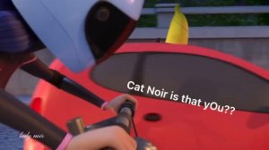 ladybug and cat noir being a chaotic duo for almost 9 minutes