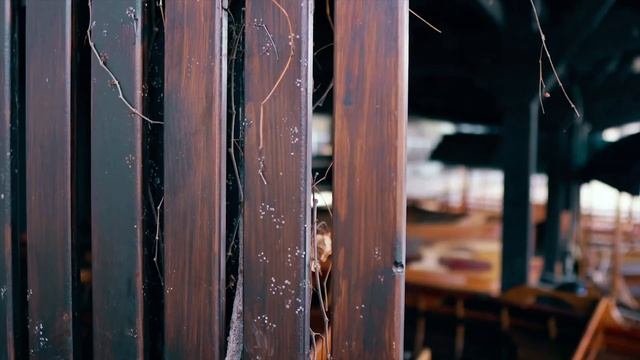 Альпійська казка - озеро Блед. Огляд факультативної екскурсії в автобусному турі Аккорд-тур
