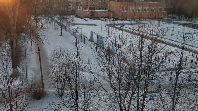 Огород на подоконнике часть 3 первые всходы