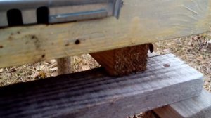 Пчеловодство мой вариант прилетки. Съемные Прилетки