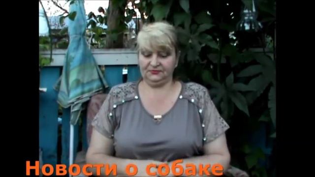 ИНовости Собака О Х Андерсон смотреть онлайн