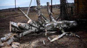 КУПИЛИ ДОМ В ДЕРЕВНЕ. ДРОВА НИ КТО ТО НИ ЗАКАЗЫВАЛ, А ОНИ ПОЯВИЛИСЬ