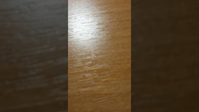 Песня кабы не было зимы смотреть онлайн