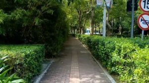 Пляж у отеля INTERCONTINENTAL Санья, Хайнань