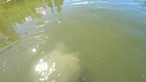 ПЛЯЖНЫЙ ПОИСК ЧИСТИМ ПЛЯЖ [Мужские Интересы]