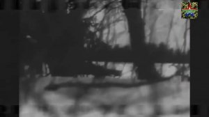 Русские шинели / Армейские песни