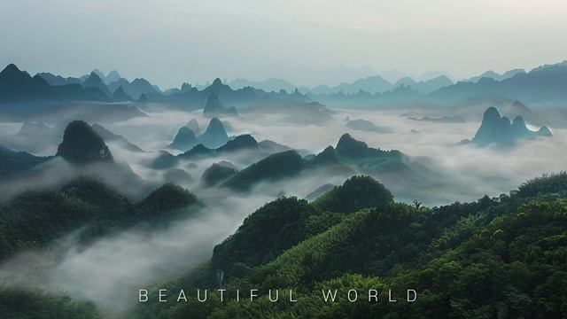 Красота мира (музыка)
