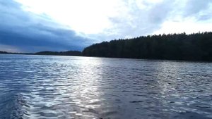 Лодочный электромотор PROMARINE 40 LBS в действии