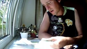 Цикады Павла Левина - отличные приманки на окуня!