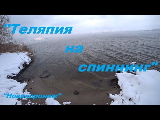 "Теляпия на спиннинг", Нововоронеж.