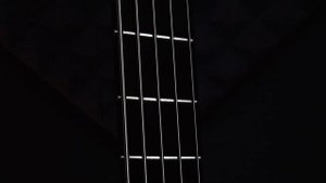 Ibanez SRMS625EX IronLabel | Linus Klausenitzer