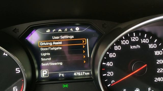 Продан Kia Karnival 2014, 2.2 CRDI автомат из Кореи: лучший семейный минивен (Киа Карнивал) смотреть онлайн