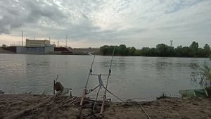 Первая удачная рыбалка в этом году на Дону 20.05.23 флет фидер