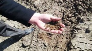 ТОРФ или торфогрунт ,для сада и огорода ,для цветов