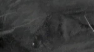 Бобер в Pulsar Ultra 355