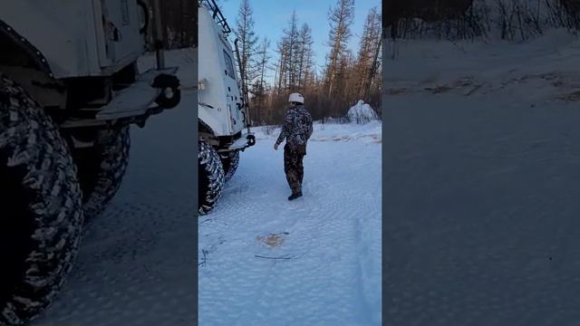 Обзор испытаний Трэкол-Хаски