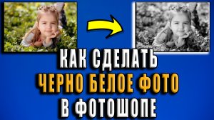 Как из цветного фото сделать черно белое в фотошопе