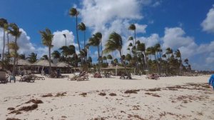 Punta Cana Beach Walk Take 1 | Dominican Republic