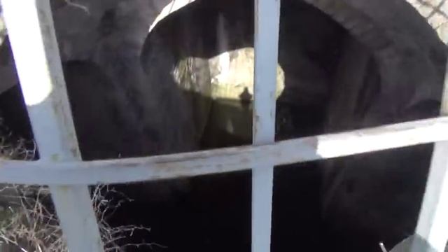 Блог тур в Дагестан смотреть онлайн