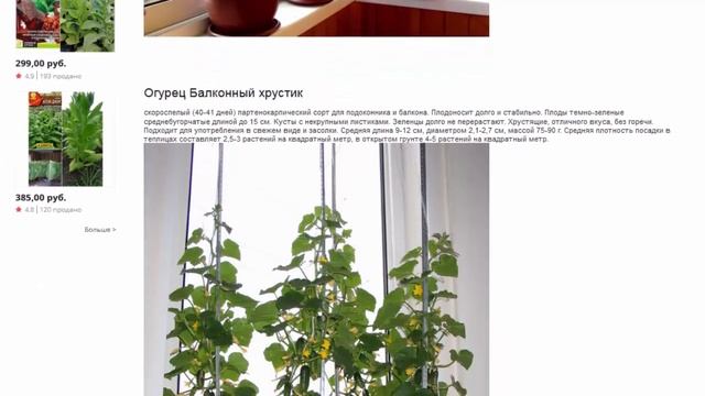 Томат Горшечный, Оранжевый + Огурец Балконный хрустик (2 упаковки набор) семена овощей