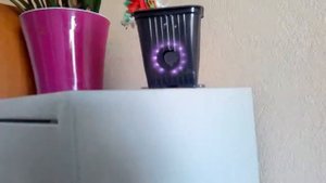 Скрытая камера в кабинете начальства