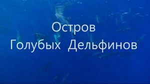 Буктрейлер по книге  Скотт О'Делл "Остров Голубых Дельфинов"