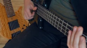 Warwick Fortress One Bassguitar Demo / All Techniques / All Sounds