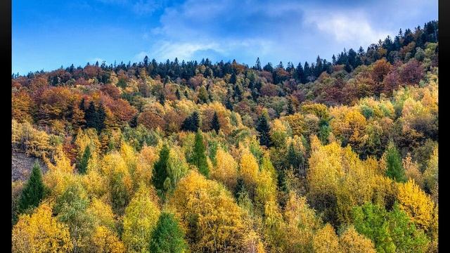 Евразия природные зоны – смотреть онлайн видео от Мастерская Талантов в ...