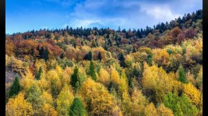 Евразия природные зоны